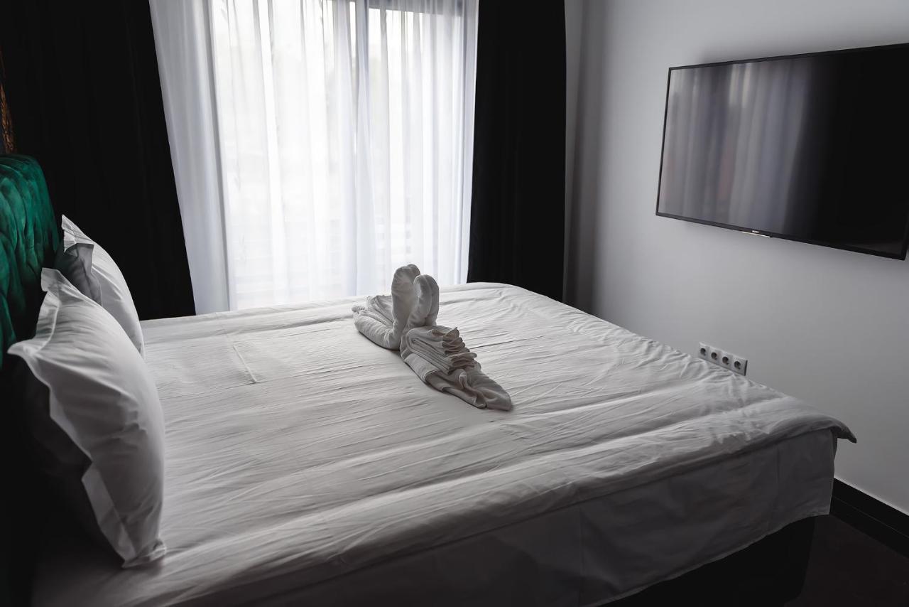 Concept Apartments Budiului 42 Târgu-Mureş 外观 照片